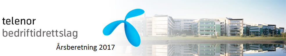 Årsberetning 2017