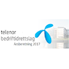 Årsberetning 2017