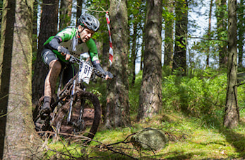 Kalbergskogen rundt 2018