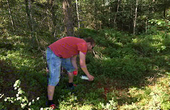 Nye kurver er straks på plass!