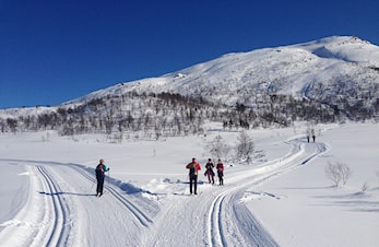 Strengenløyper - beskrivelse og kart.