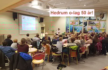 Årsrapporten 2016 er nå tilgjengelig!