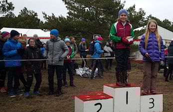 Danmarkstur 2017