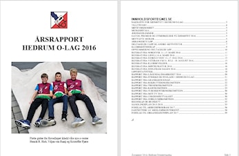 Rettet årsrapport 2016