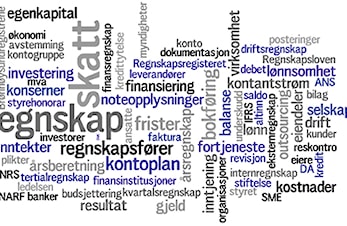 Vi søker felles økonomileder med Frogner IL