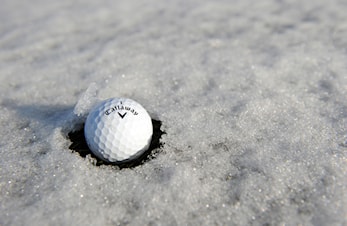 Spill på vintergreener fra 21. oktober - sommergreener er stengt