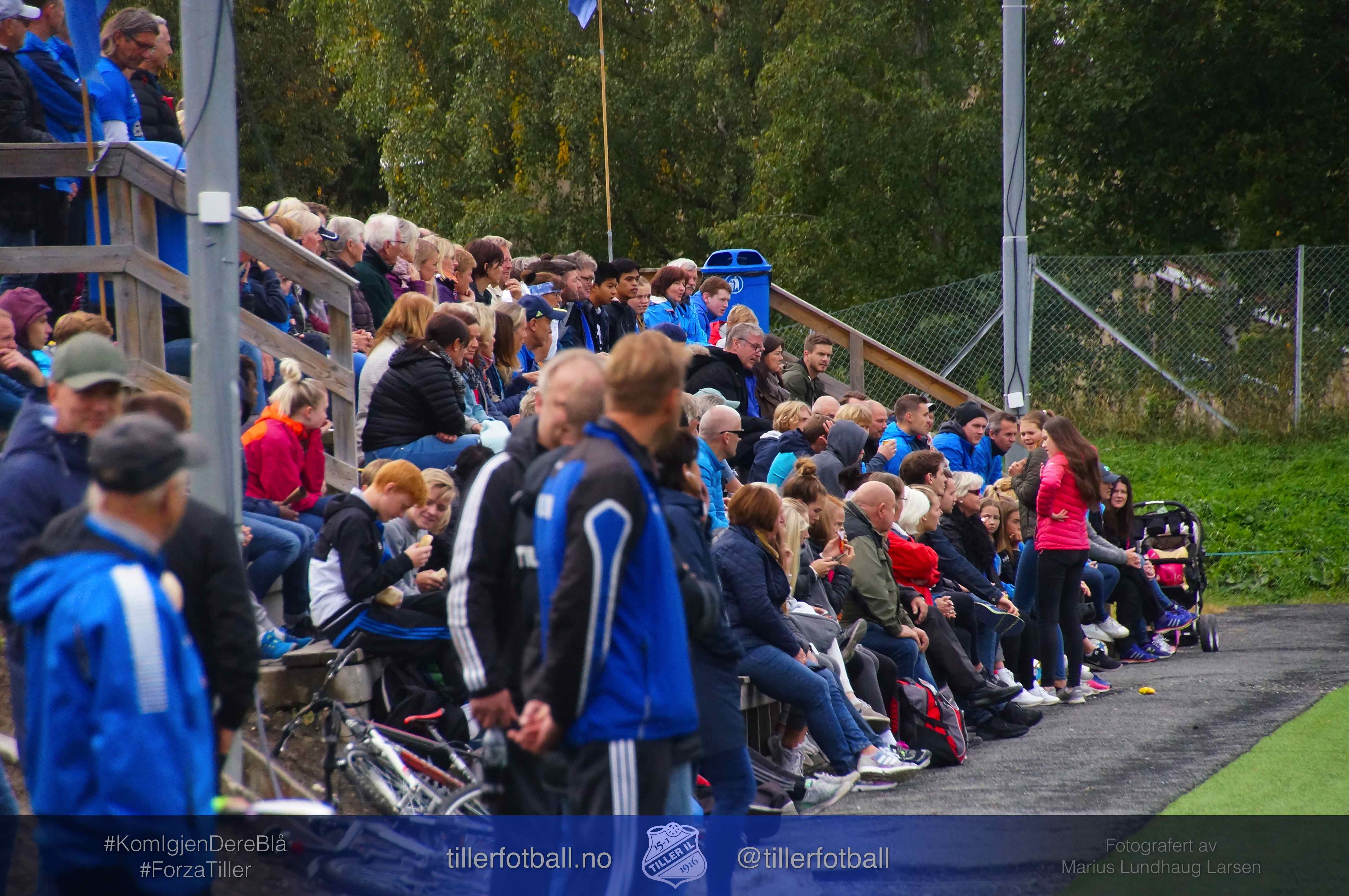 Tre forslag til vedtak