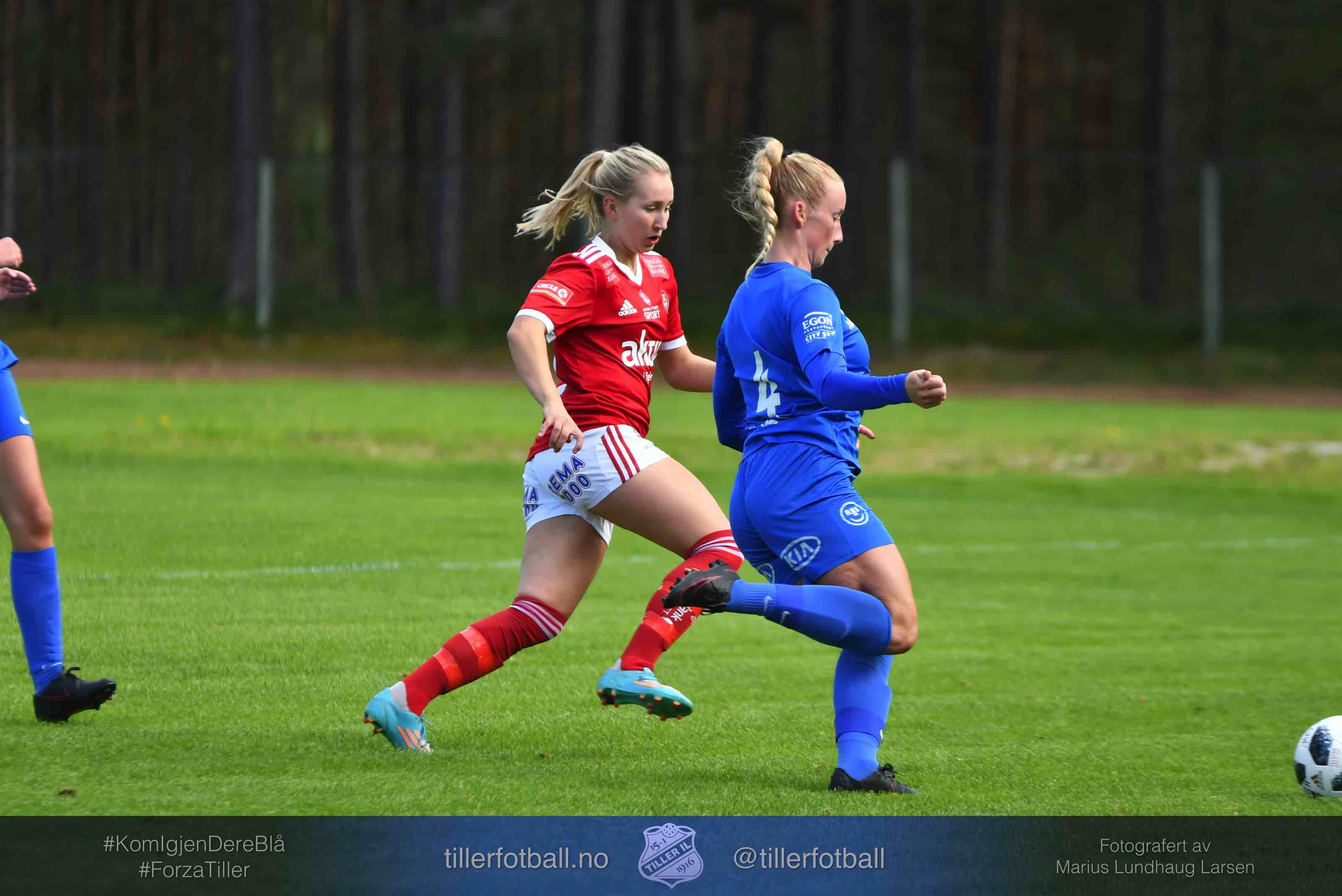 Tynset 5 - 2 Tiller