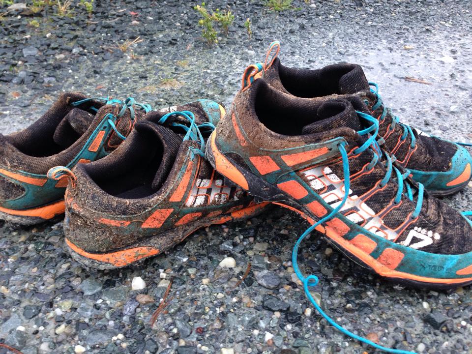 Terrengløpskarusell