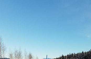 Juleskirenn i fint vintervær