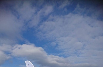 Takk for en fin dag på Utleirarennet