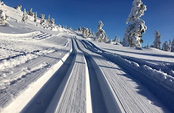 Vinterferie for Allidrett og Innebandy