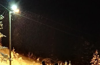 Oppkjørte løyper mandag 15.02.2016