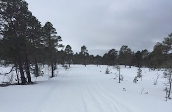 Oppkjørte påskeløyper onsdag 23.03.2016