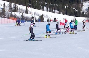 ECO Alpincup