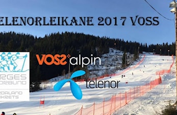 Telenorlekene Voss 2017