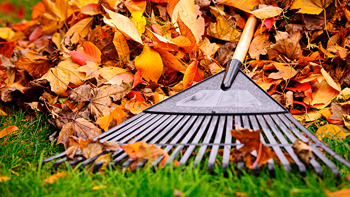 Høstdugnad lørdag 28 oktober