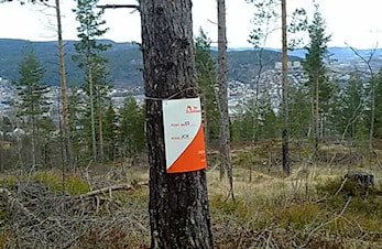 Hellas turorientering 2017 i Strømsøåsen er nå klar!