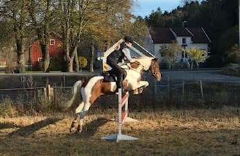 Første stevne 2017 på Epona ryttersenter.