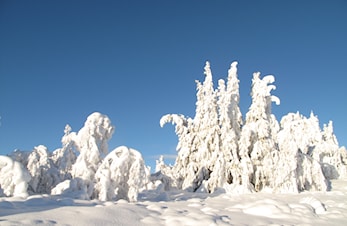VINTER-O-POSTER