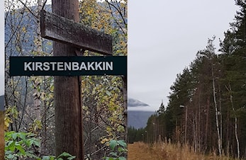 Fint i lysløypa