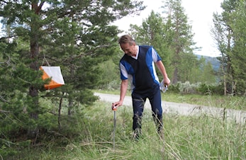 Snart er det Dølakarusell