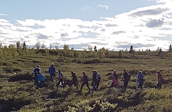 Postplukk på Gålå