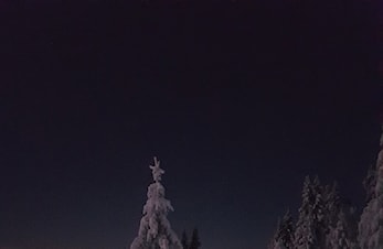 Godt nyttår !