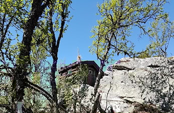 UKENS POST -- Fellestur