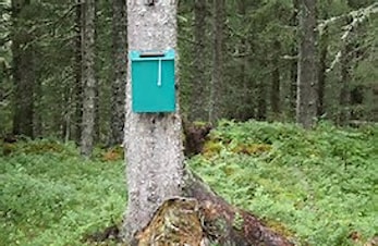 Vinnere av trimkasse-trekning!