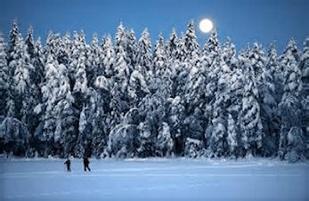 Måneskinnstur på mandag 13.2 kl. 1800!