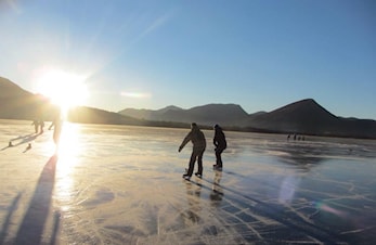 Allidrett 1. februar 2016