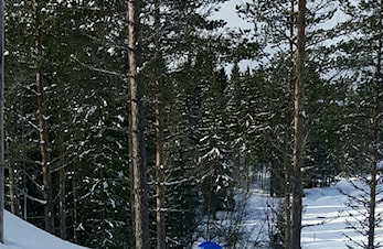 Vegard Ek Hagen med solide resultater under Jr NM på Gåsbu