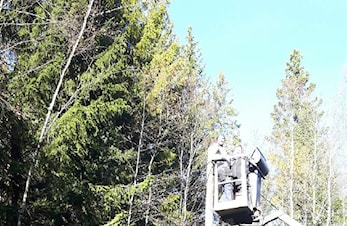 Strømsborg Elektro sørger for lys i lysløypa vår