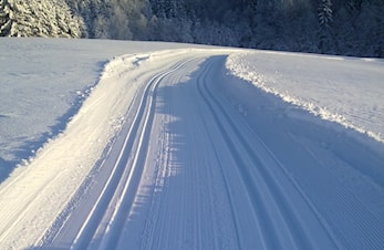 Ikke gå i lysløypa, vi trenger all snøen for å kunne sette skispor.