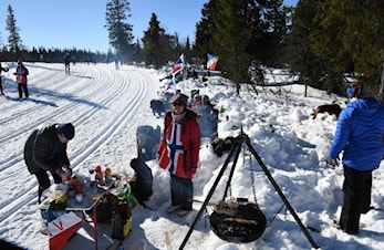 Stemingsbilder fra Birken