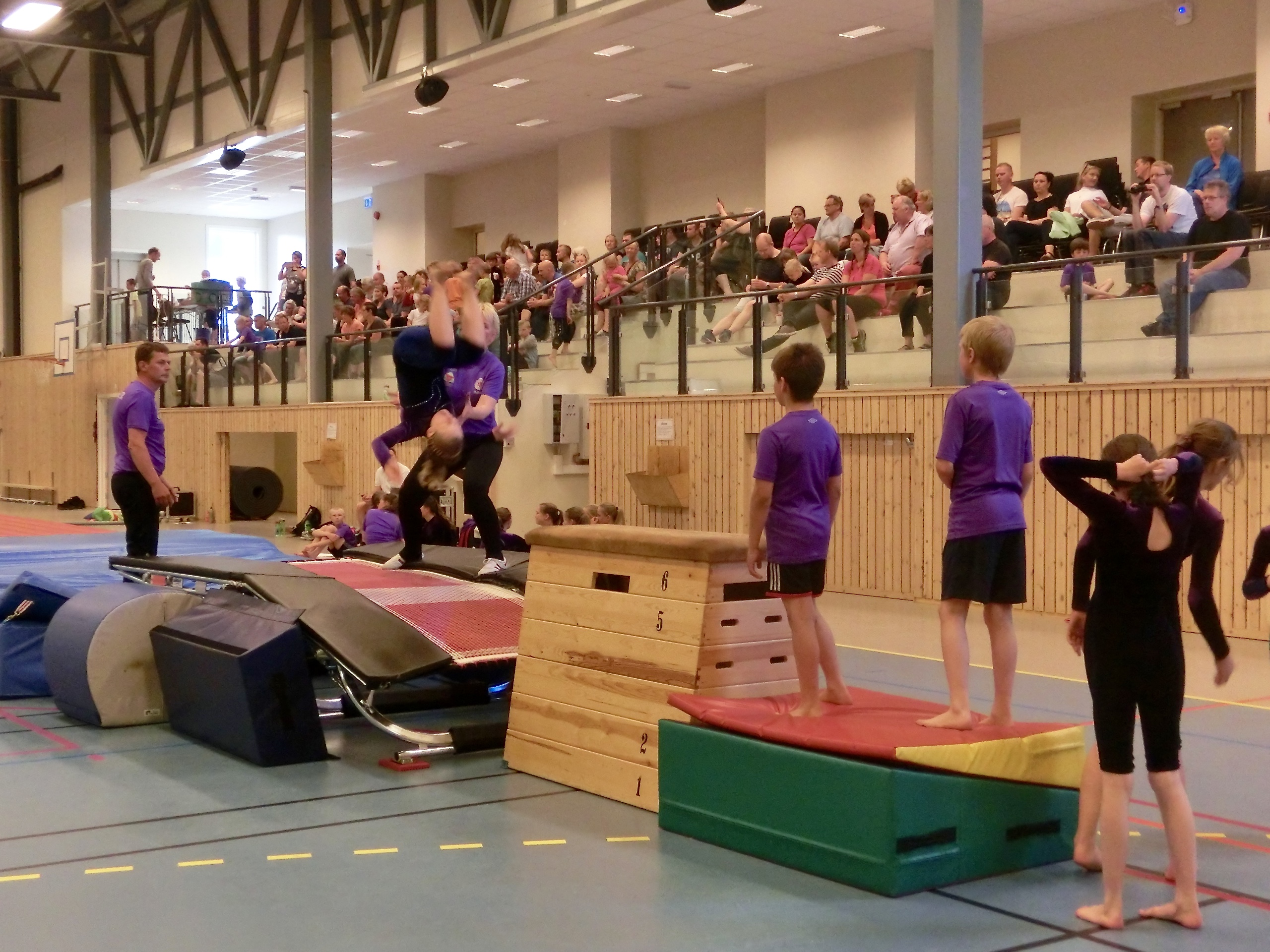 Sommeroppvisningen 2016