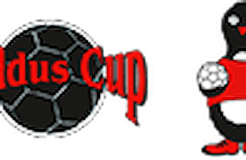 Informasjon om Baldus Cup 2018