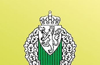 Idrettsmerket