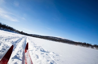 Nyhetsbrev fra Hedmark Idrettskrets.