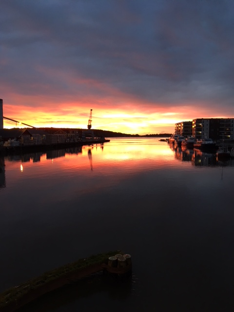 Godt Nytt År til dere alle