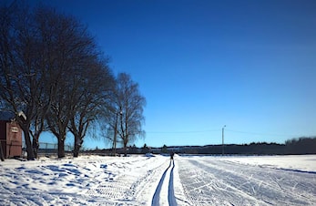 Skikort