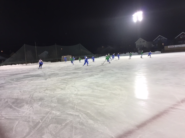FRA DVALE TIL TOPP BANDY