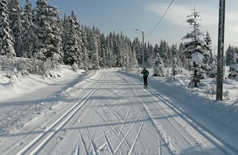 Ski-trening tirsdag 8. november!