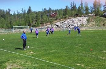 Surt bortetap på Tolga
