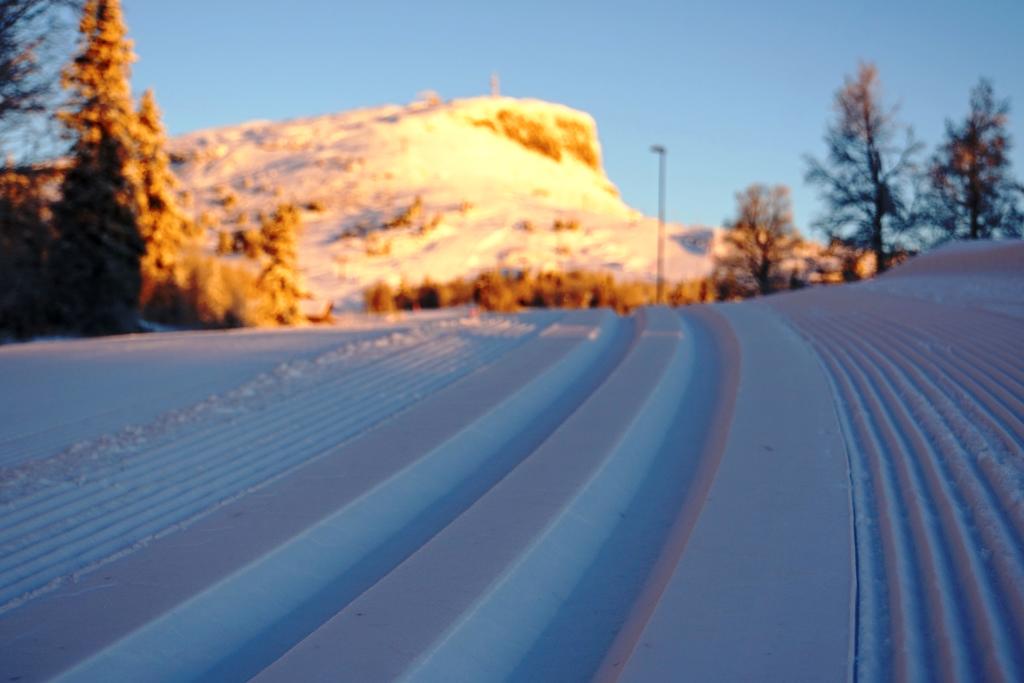 Romfordelingsliste og betalingsinformasjon -  Miljøsamling Skeikampen 2017