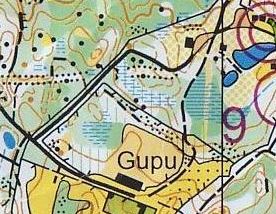 Utfordrende orientering i Ivar-O-løpet