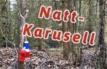 Raumarkarusell - Nattløp
