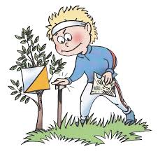 Treningsplan Vår 2017