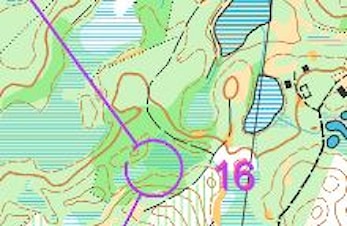 Silje på tredje i VM-kval lang
